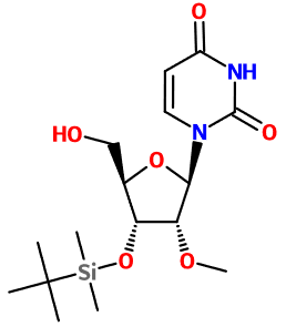 MC081205 3'-O-(tert-Butyldimethylsilyl)-2'-O-methyluridine (图片) MC081205 3'-O-(tert-Butyldimethylsilyl)-2'-O-methyluridine